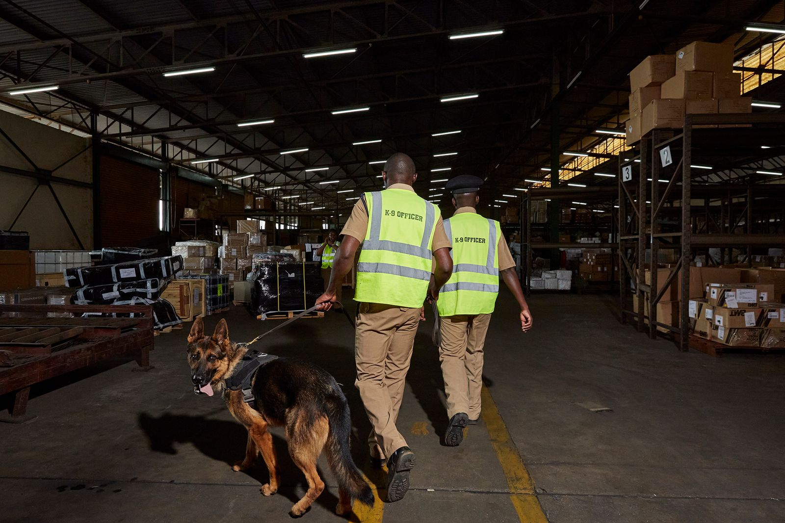 © Julia Gunther - Image from the Sniffing Out Wildlife Crime With Malawi's First Detection Dog Unit photography project