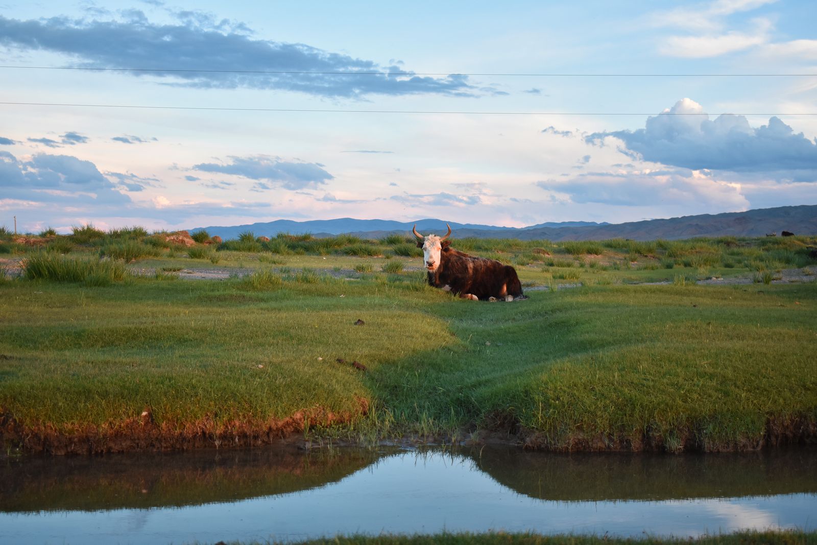 © Avery Norman - Image from the Mongolian Beauty photography project