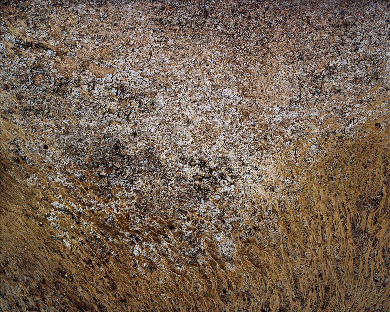 © BRAD TEMKIN - "Dried Algae on Wall of Fairmont Reservoir - Antelope Valley, CA 2021"