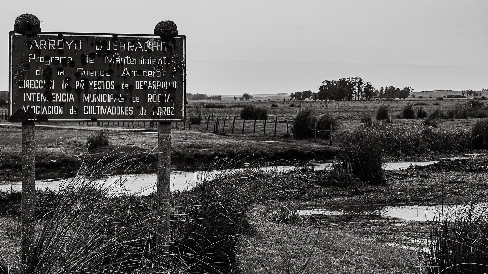 © Carlos Pereyra - Image from the Rocha on my mind photography project