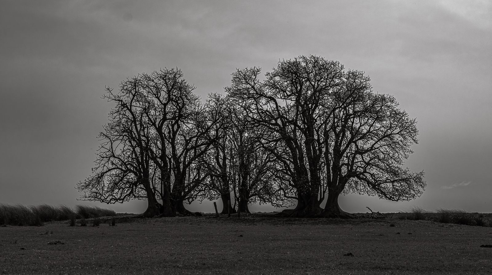 © Carlos Pereyra - Image from the Rocha on my mind photography project