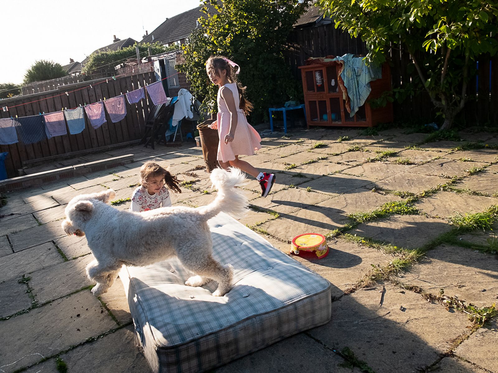 © Rich Wiles - Photo by Ruba al-Hindawi. Hanan (centre) and Rayan (centre left) playing with a dog in their neighbour's back garden.