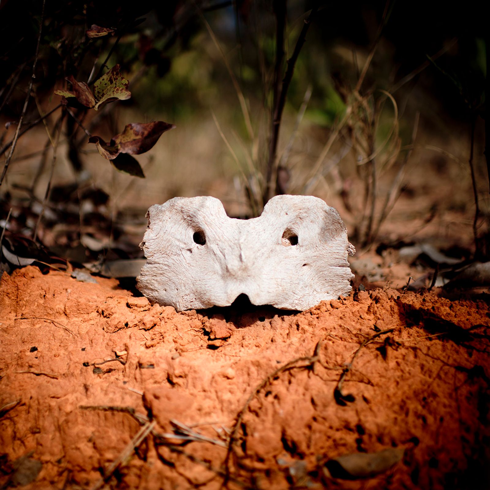 © José Diniz, from the series, Terra Roxa