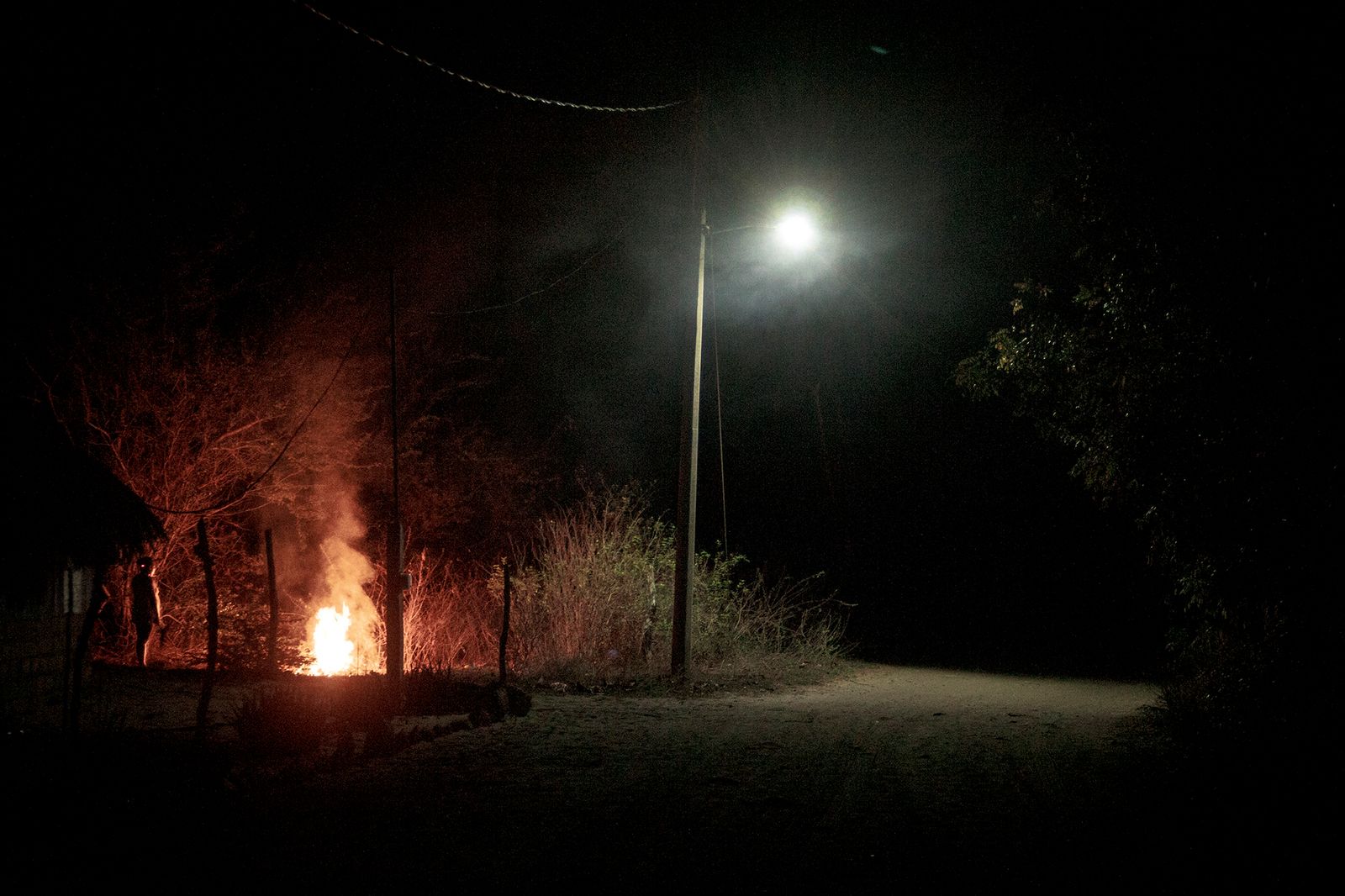 Survival Instincts in a Violent and Fragile World