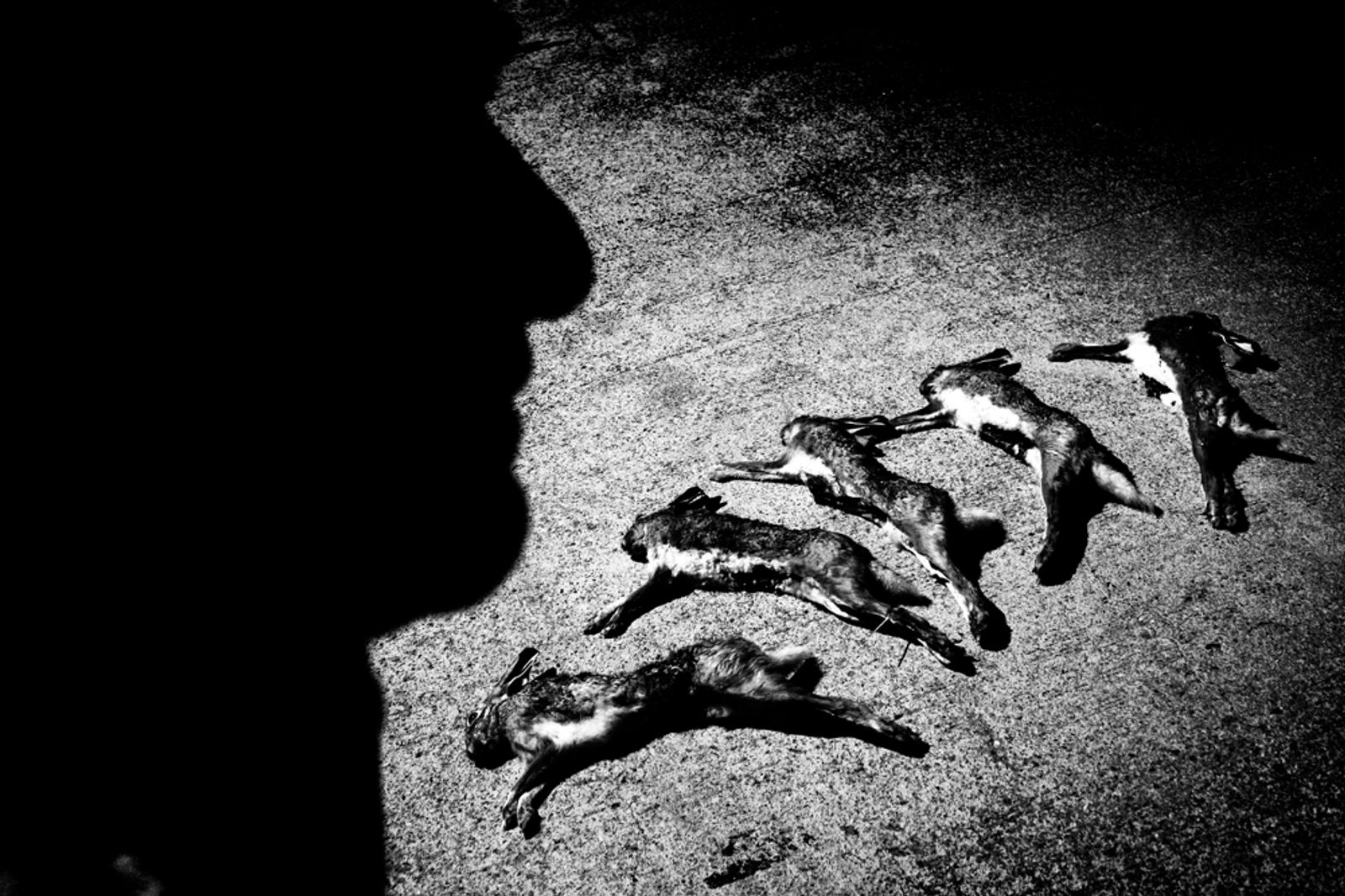 © Antonio González Caro, from the series Hunting Shadows