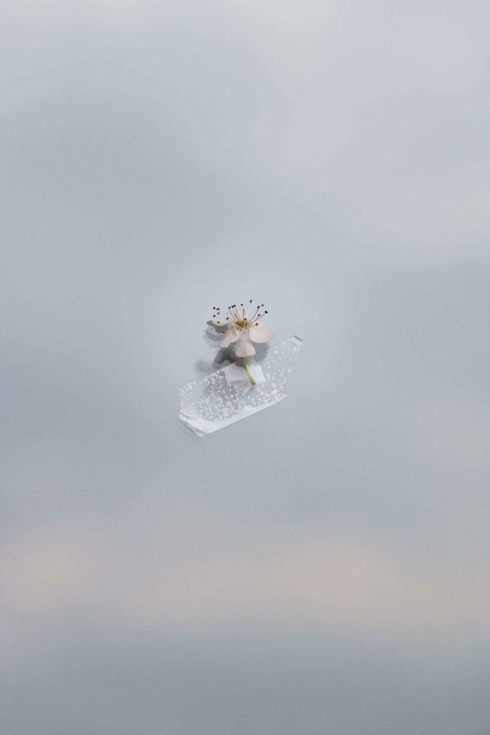 © Federica Cocciro - Image from the Living in quarantine photography project