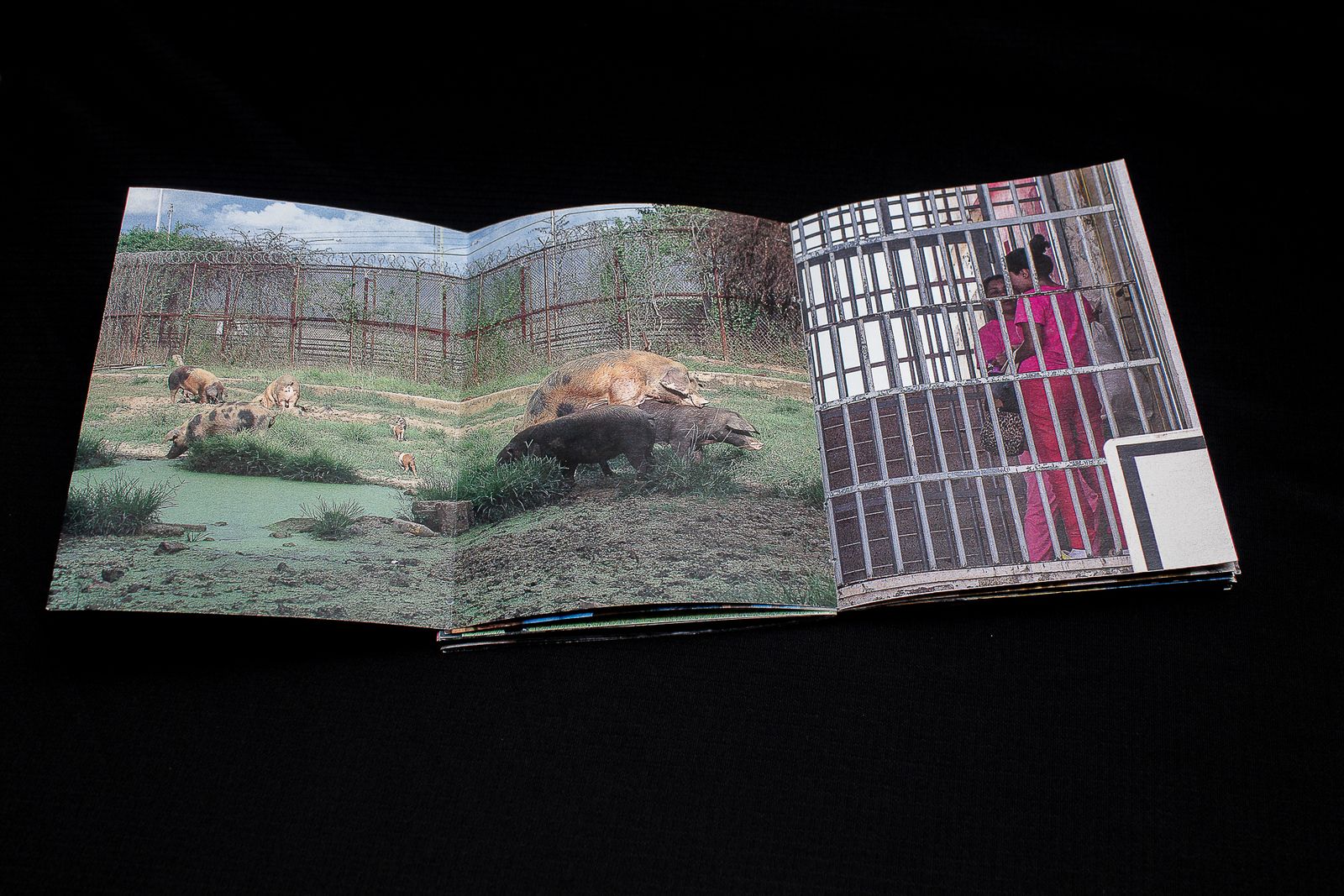 © anthonycamargo7 - Image from the La cosa cambió de color photography project