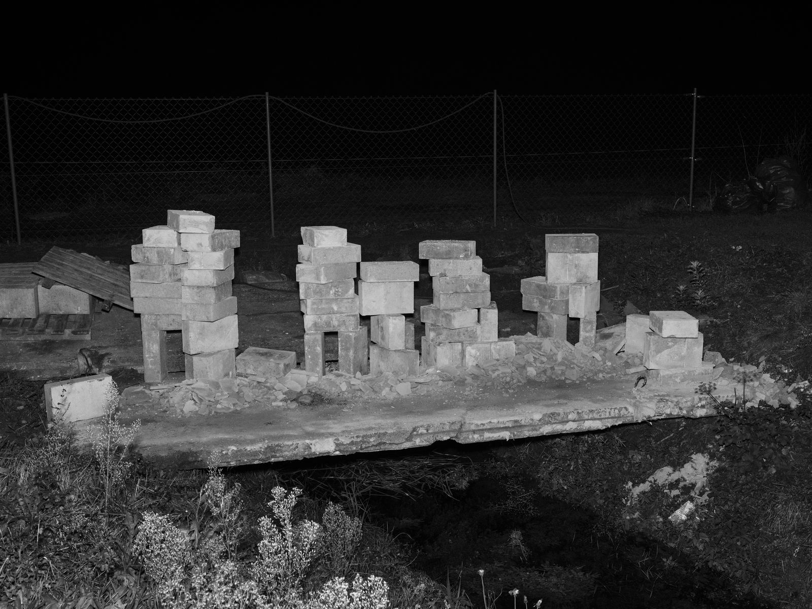 © Marta Zgierska - Internal Landscapes 14