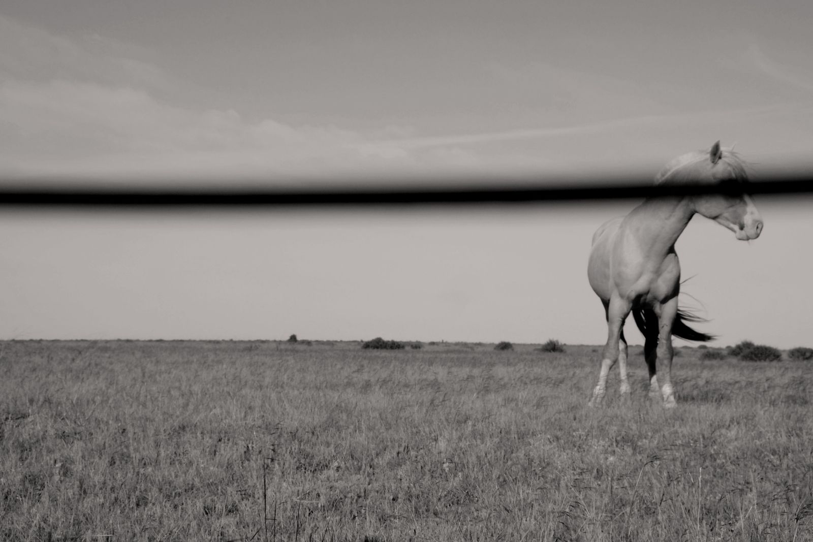 © Giulia Gatti - Image from the The wind blows on my mother photography project