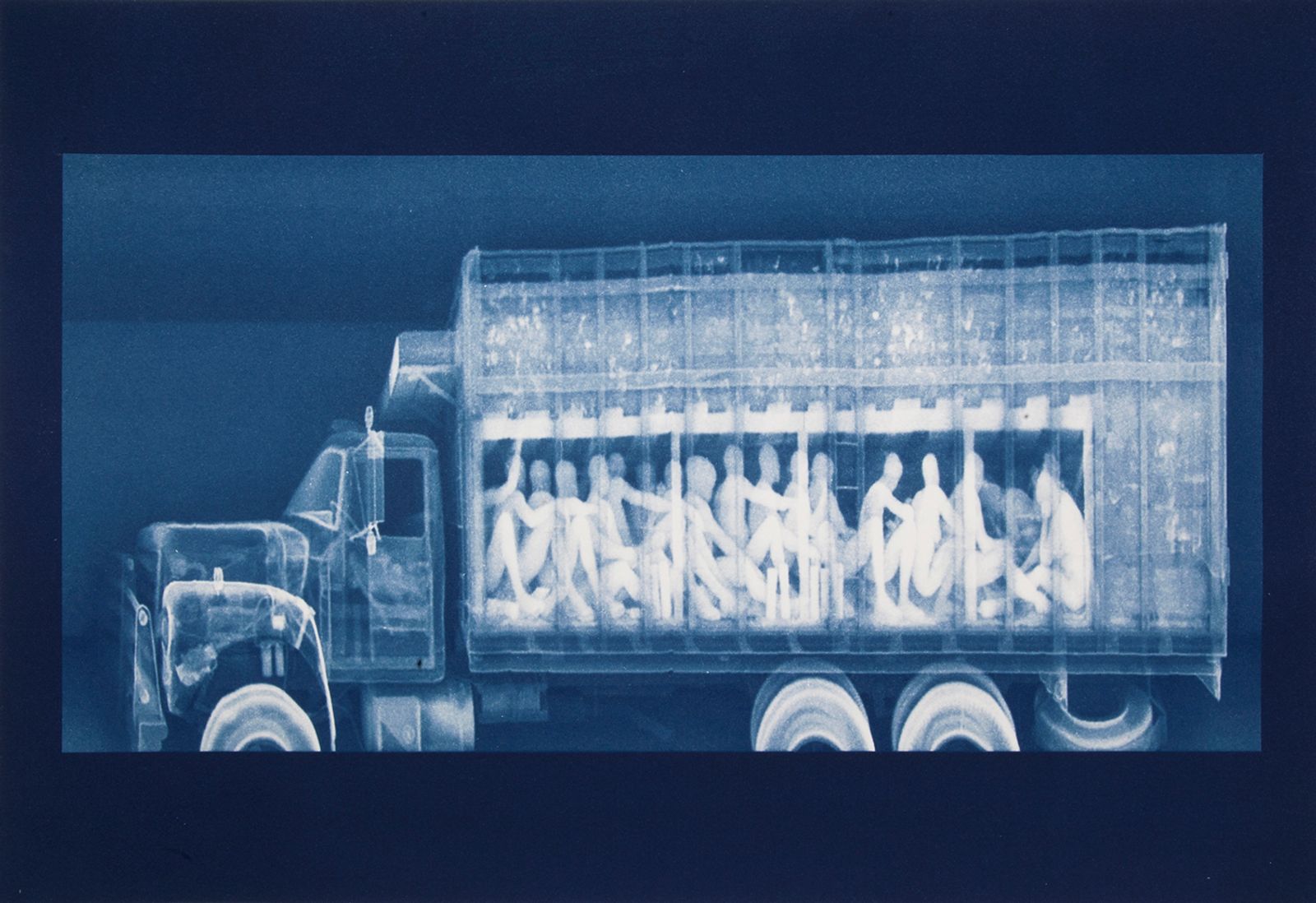 © Noelle Mason - Backscatter Blueprint (Vientre de las Bestia), Cyanotype on watercolor paper, 22" x 18"