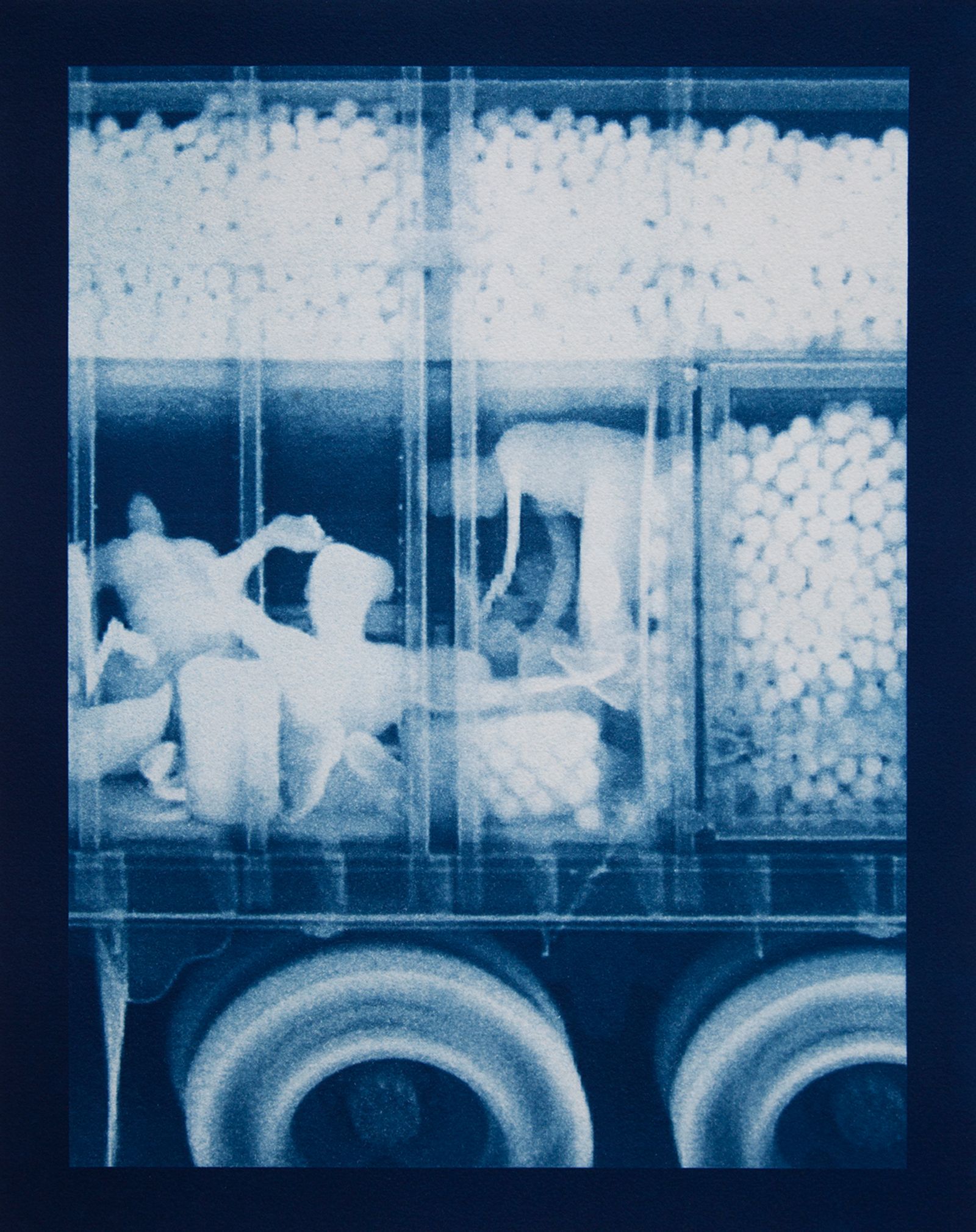 © Noelle Mason - Backscatter Blueprint (Dimanche Apres Midi), Cyanotype on watercolor paper, 22" x 18"