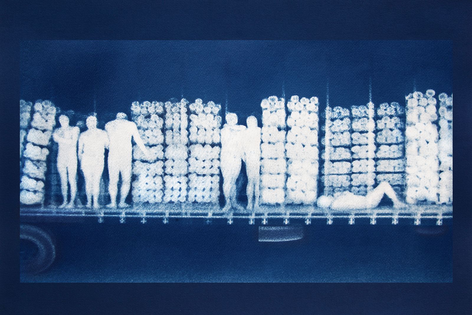 © Noelle Mason - Backscatter Blueprint (Primavera), Cyanotype on Watercolor Paper, 16" x 22"