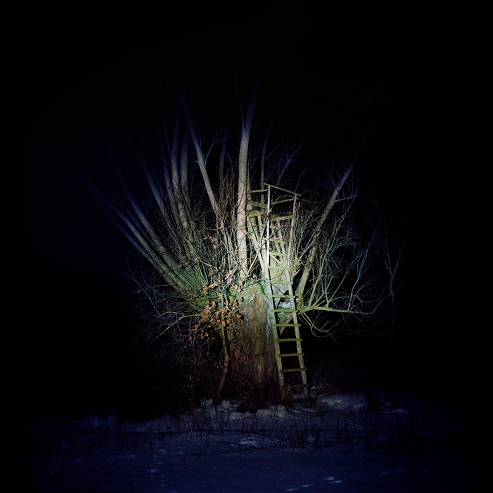 © Ira Alaeva - Image from the Nachtgestelle photography project