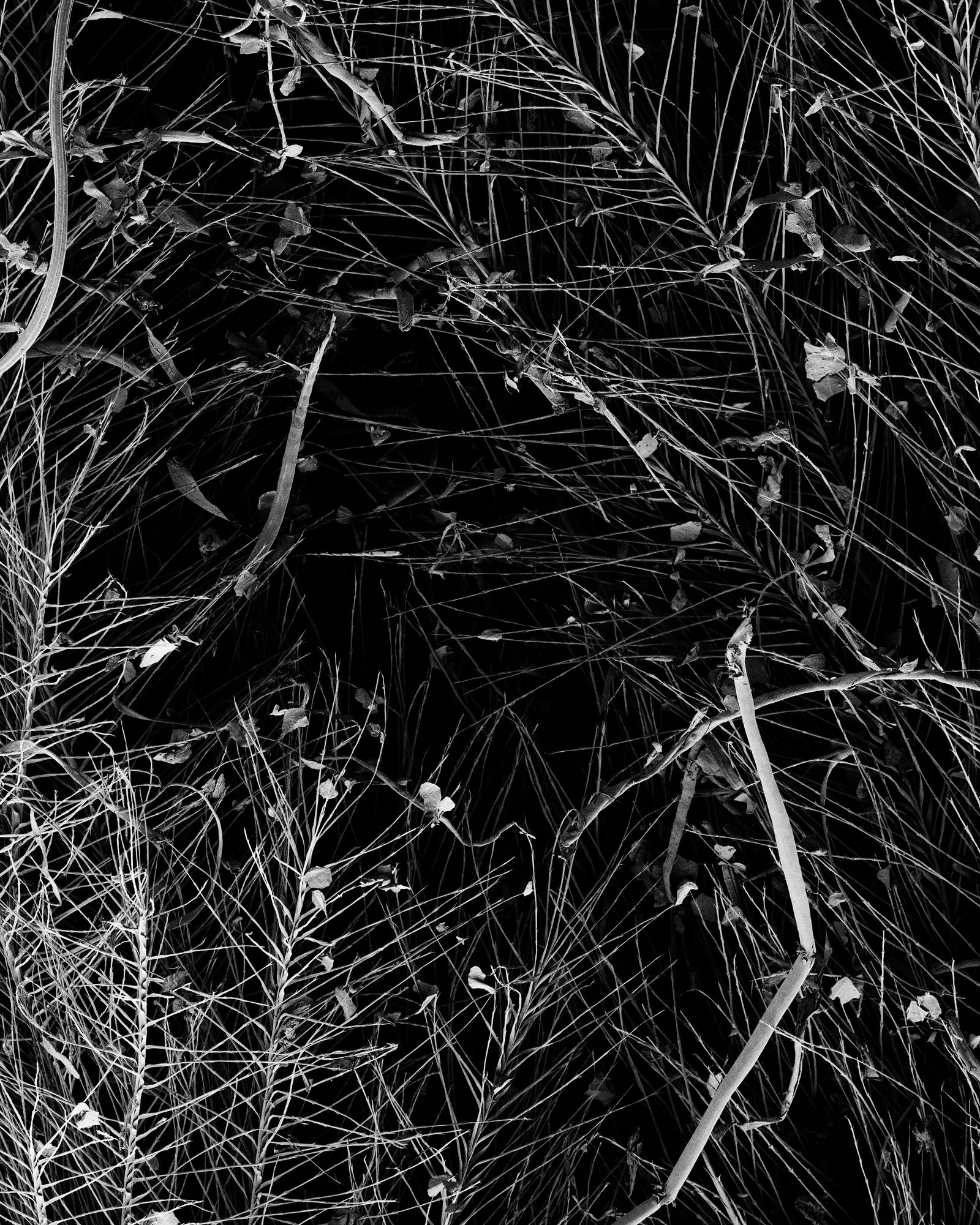 © Oliver Woods - Image from the You Are My One And Only photography project