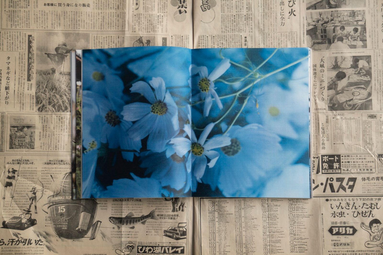© Tetsuo Kashiwada - Image from the WARASONO photography project