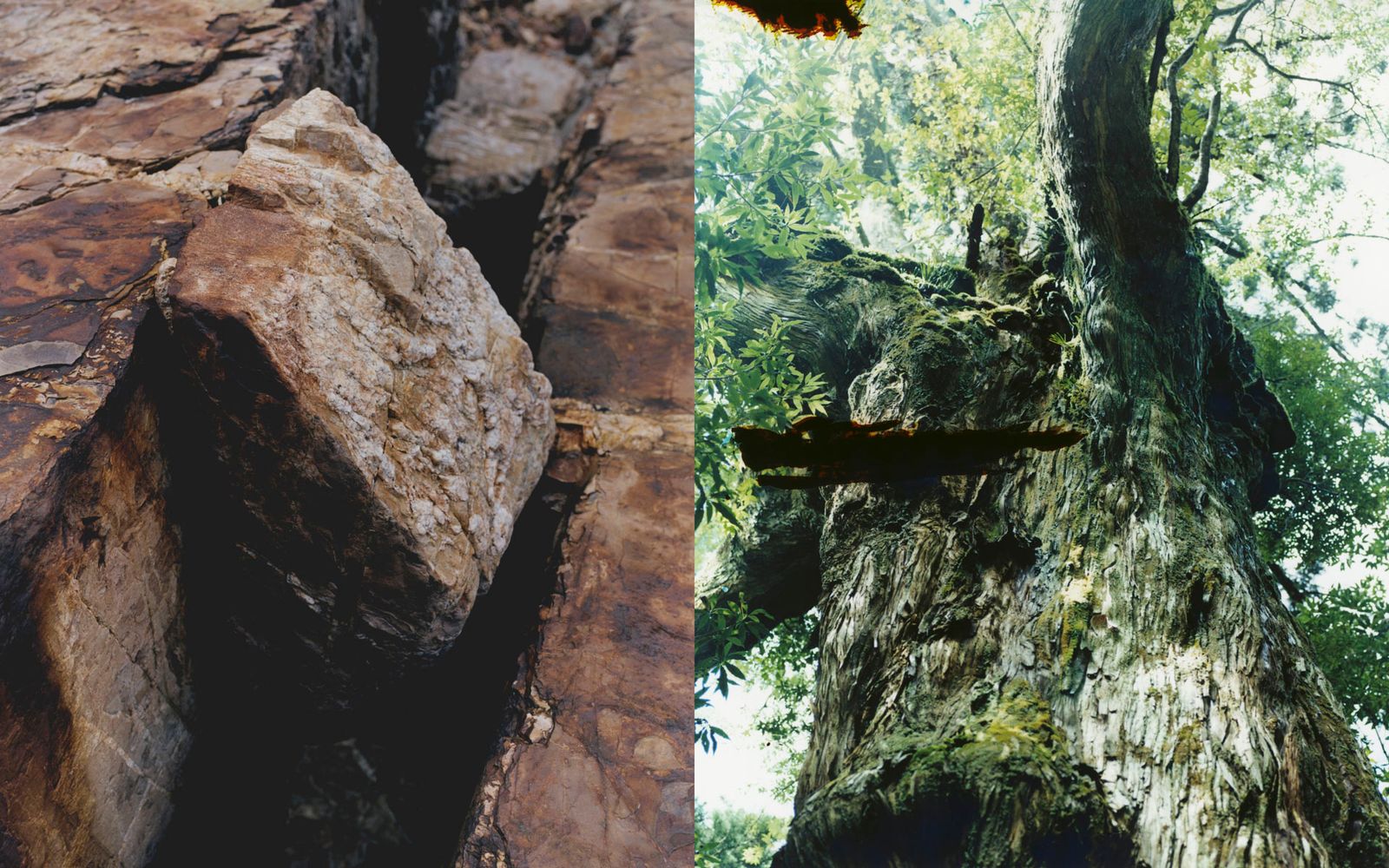 © Tetsuo Kashiwada - Image from the Nearly equal photography project