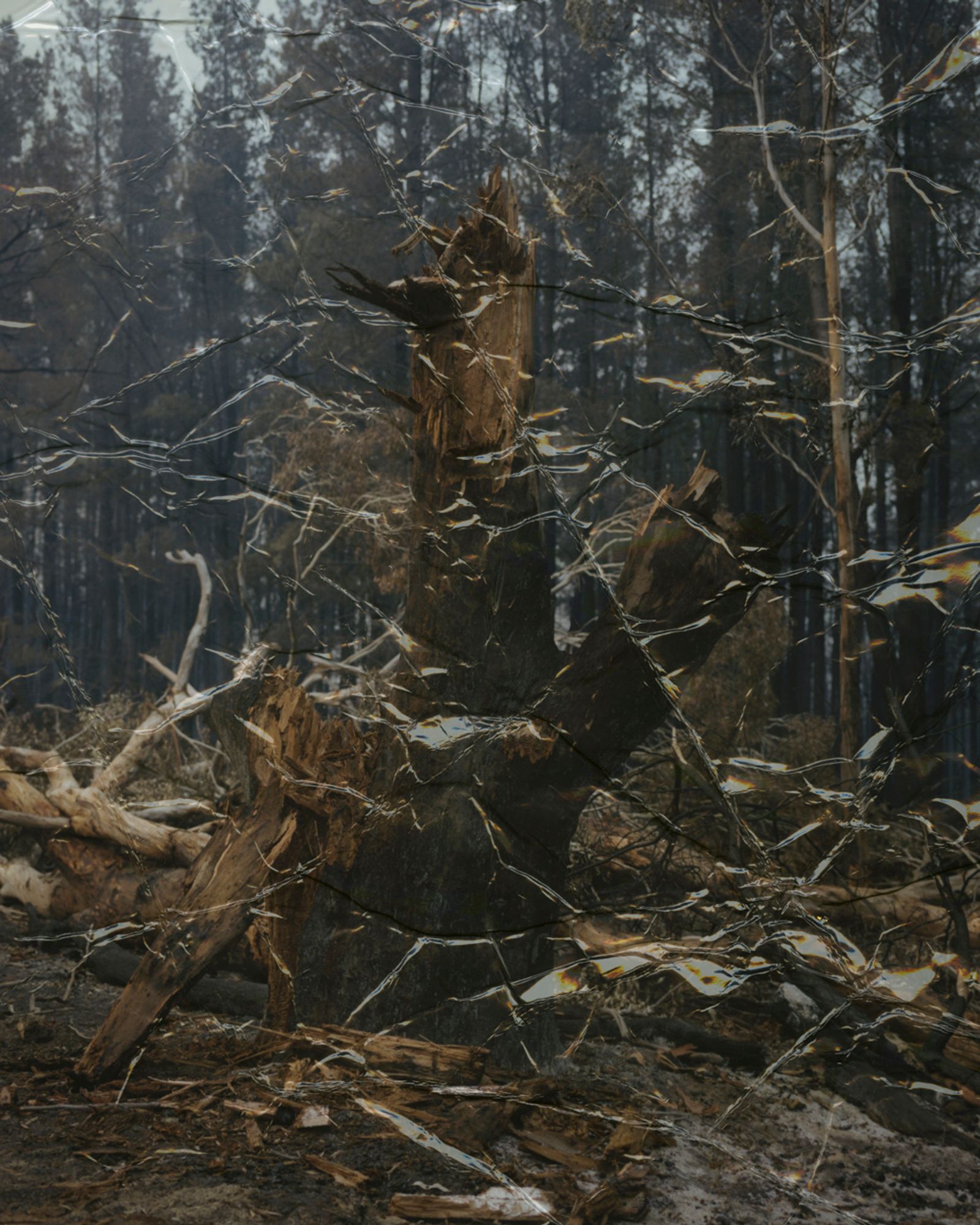 © Tetsuo Kashiwada - Image from the Message photography project