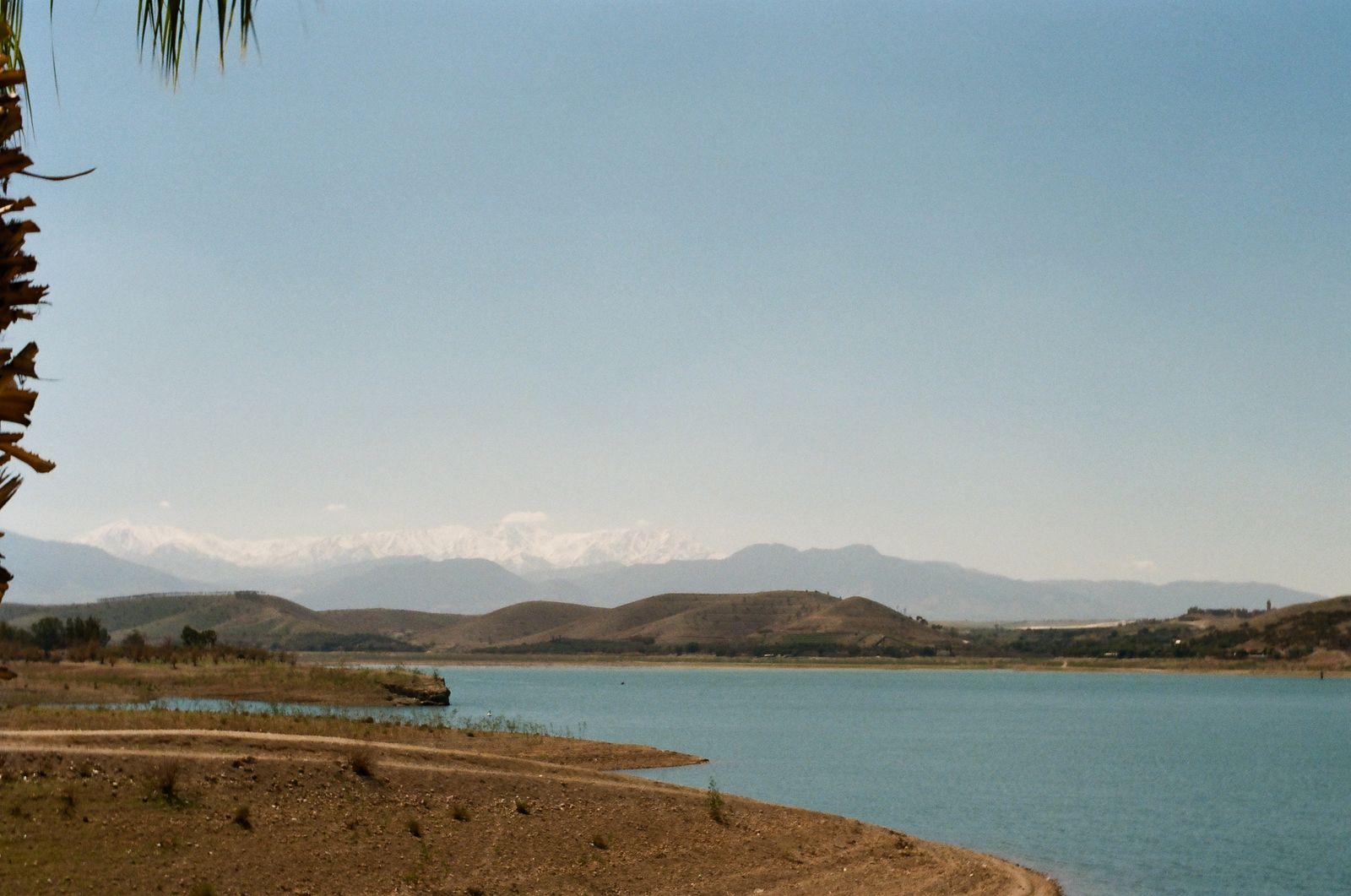 © gigi - landscape