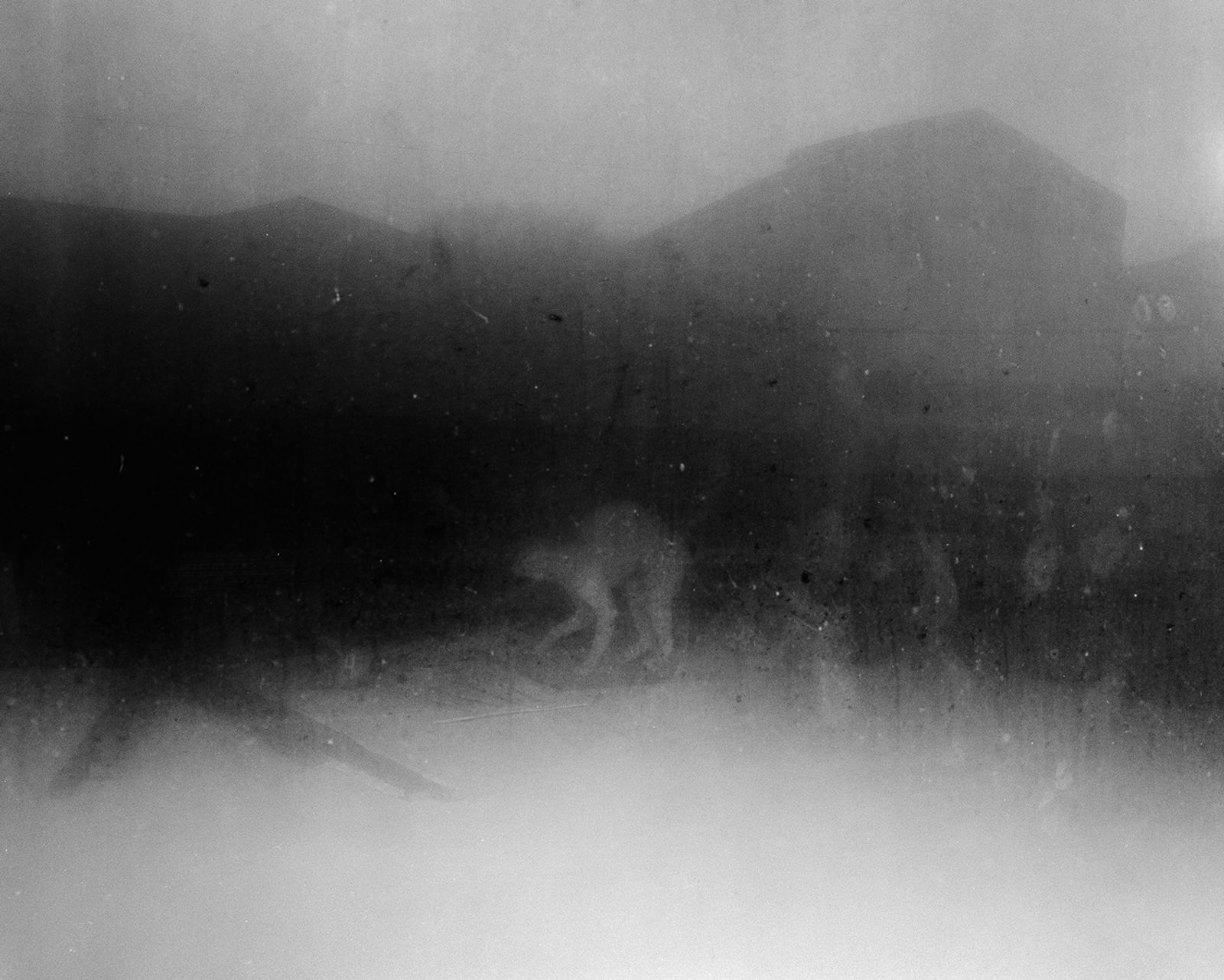 © Matthew Genitempo - Image from the Jasper photography project