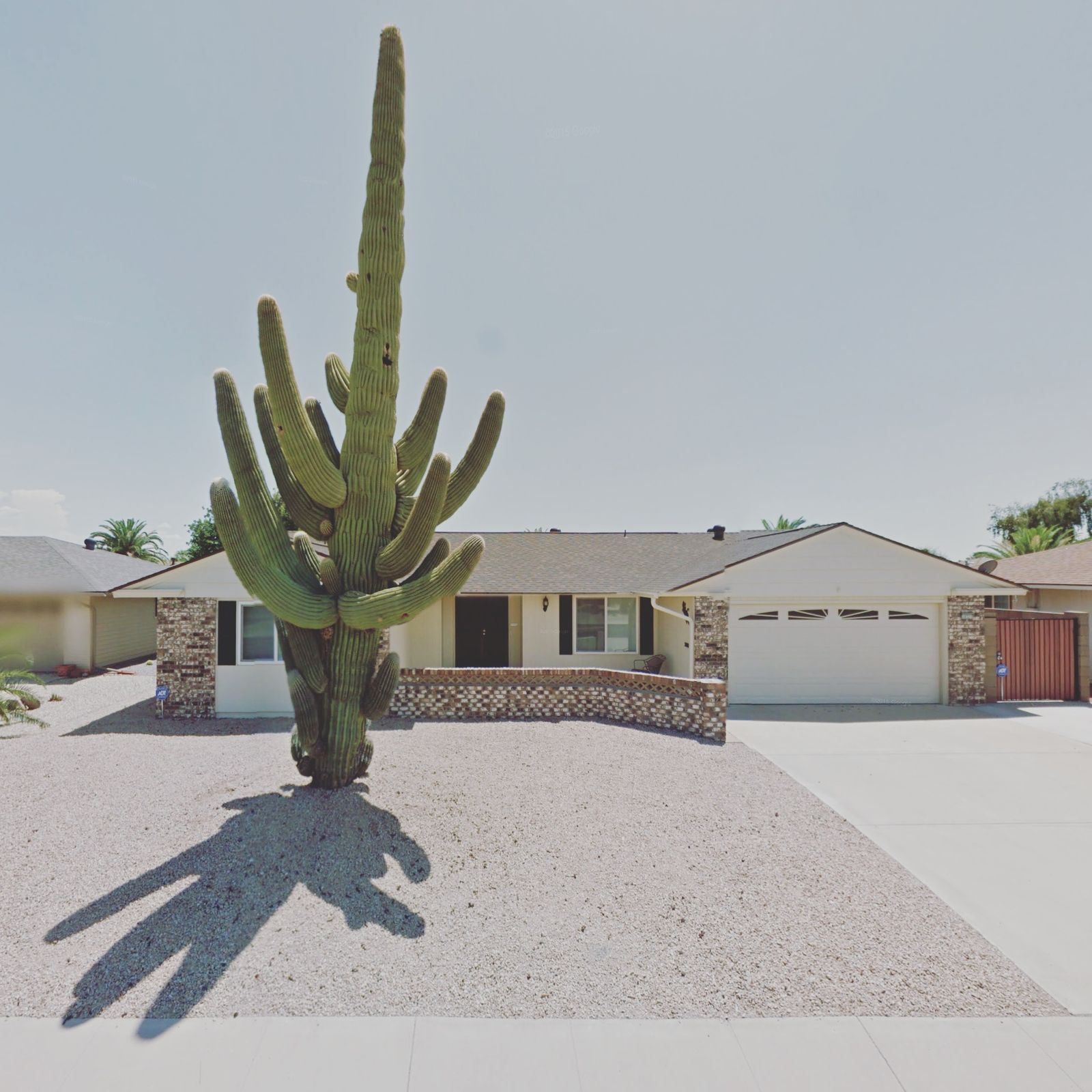 © Jacqui Kenny - Sun City, Arizona, United States