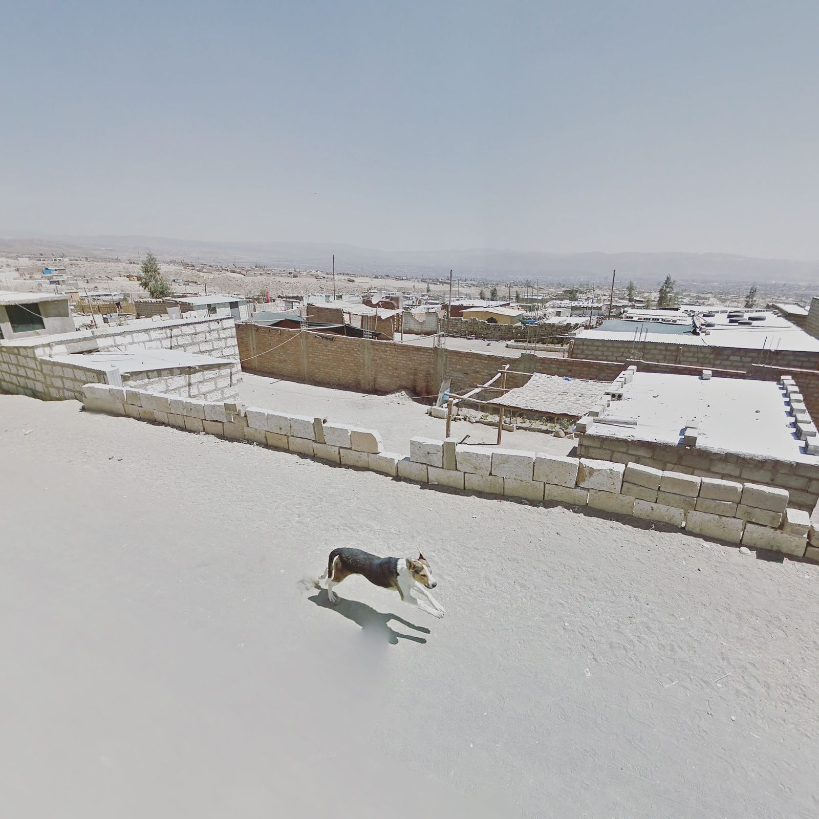 © Jacqui Kenny - Arequipa_Peru