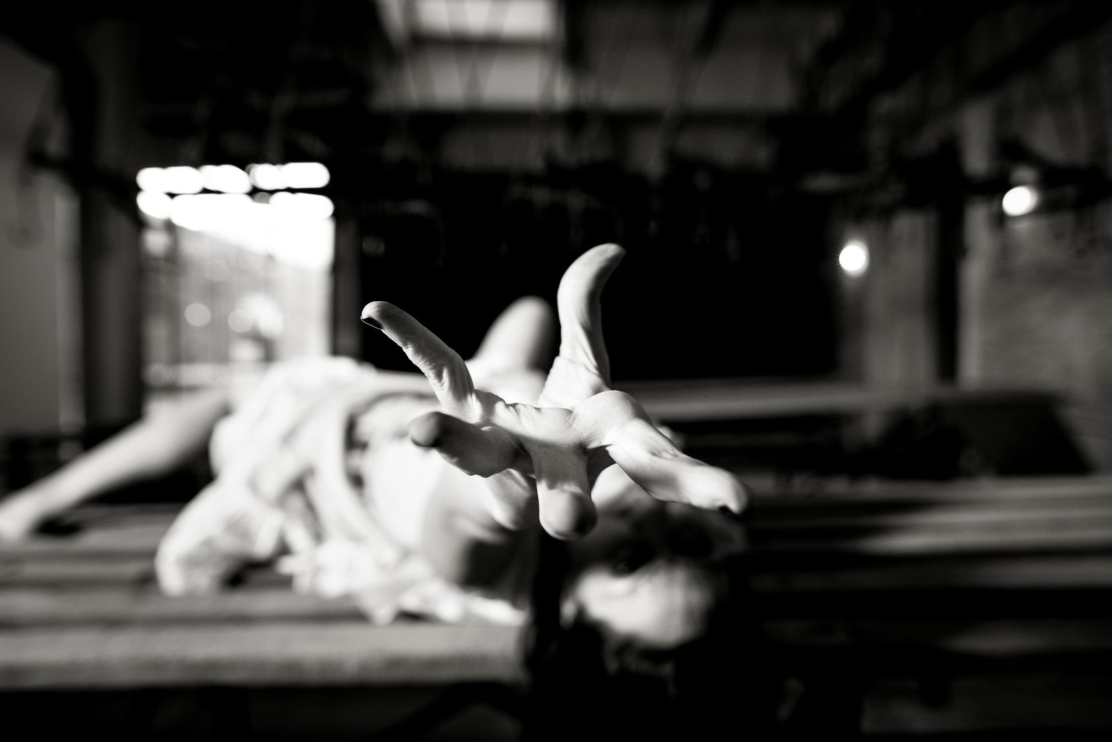 © Paolo Soriani - Image from the AnimAnimale -  I Don't Know How To Respond To That Violence photography project