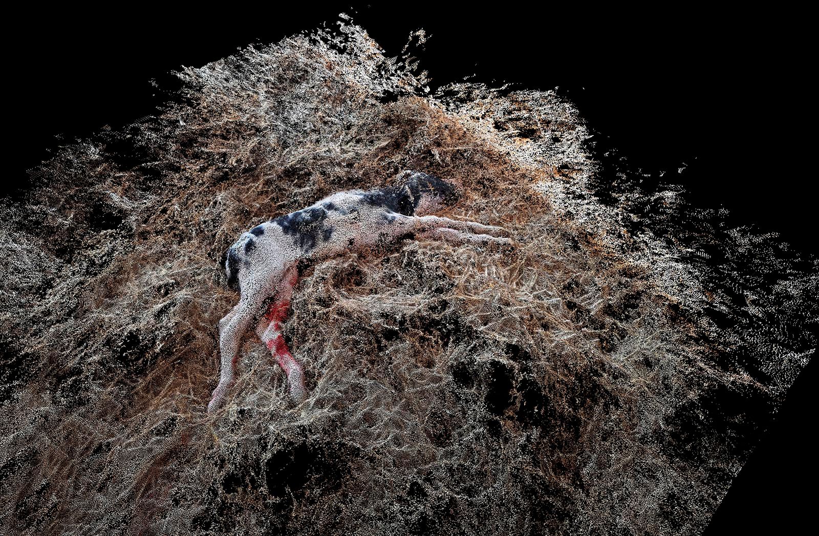 © Daniel Szalai - Image from the Unleash Your Herd's Potential photography project