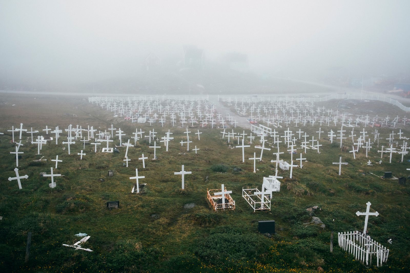 © Dagmara Wojtanowicz - Image from the Roots photography project