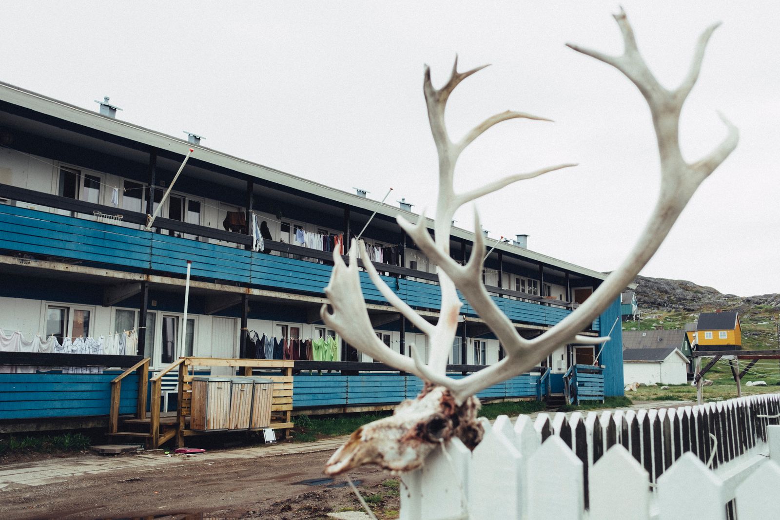 © Dagmara Wojtanowicz - Image from the Roots photography project
