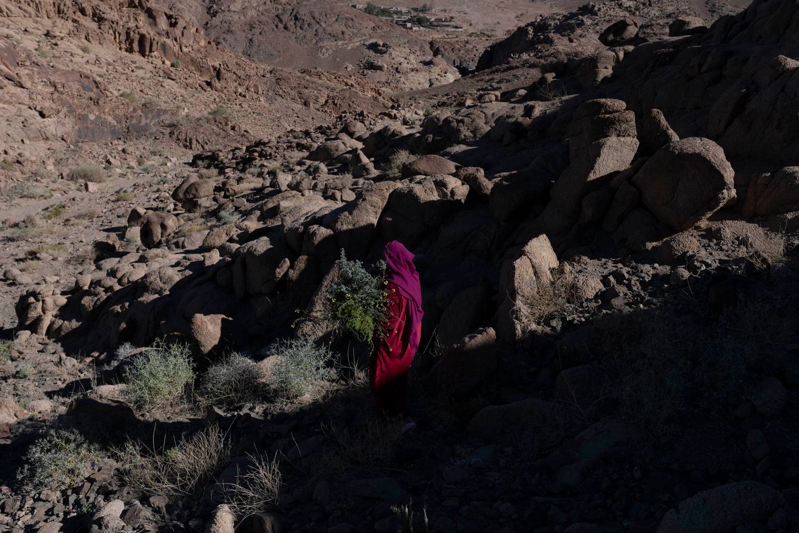 © Rehab Eldalil - Yasmine (32) picks wild herbs as she walks through the valley near her home at Sheikh Awad village. February 2021.