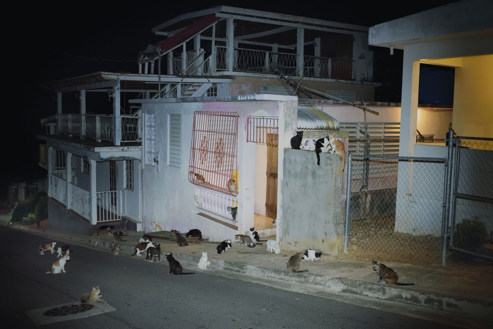 © Annalisa Natali Murri - A street in Isabel II village, Vieques