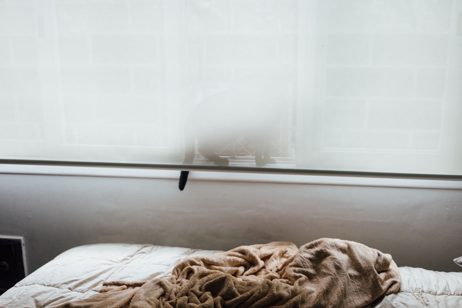 © Gabriel Carpes - Cat and my old bed at my parents house