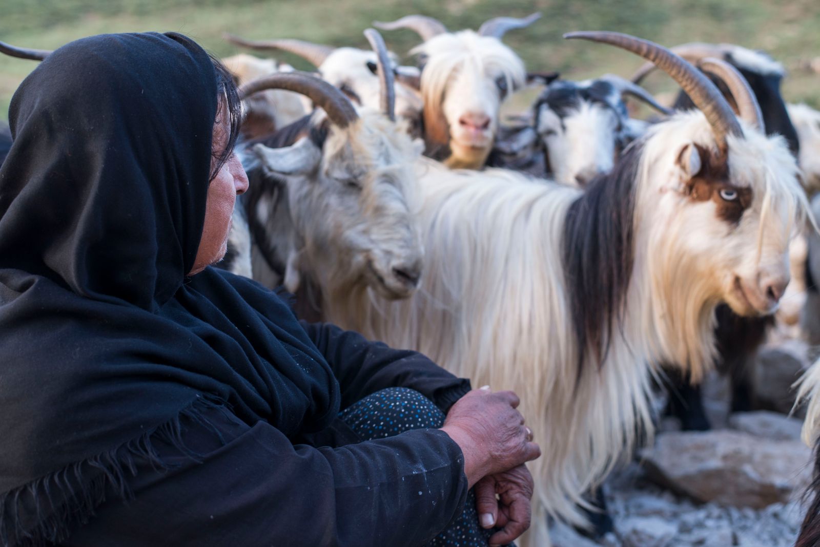 © Rachele Caretti - Image from the Nomads of Iran photography project