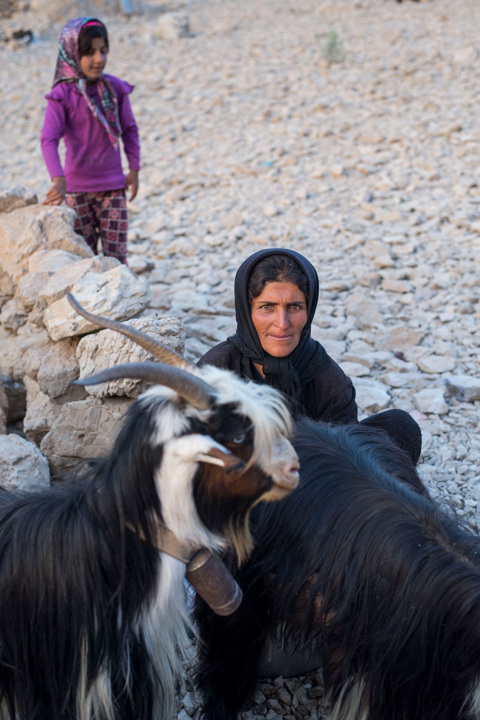 Nomads of Iran - PhMuseum