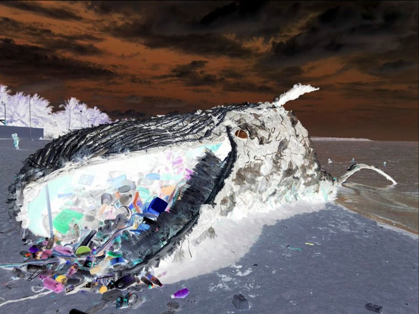 © Florence Iff - plasticwaste, whale