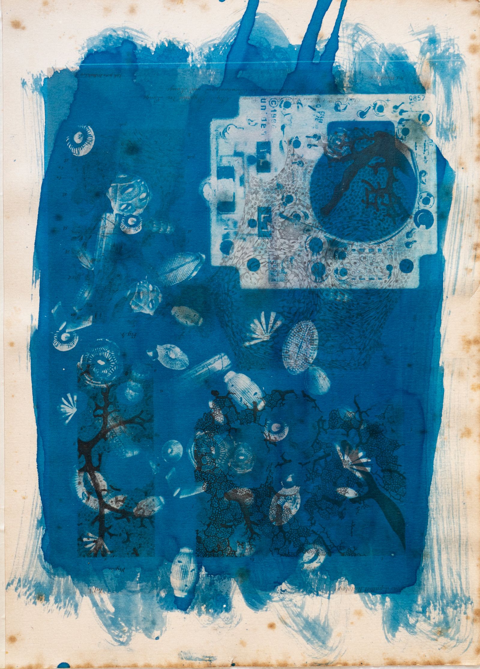 © Florence Iff - Amalgamated Fragmentation/ Technosphere 3 cyanotype on vintage lithography