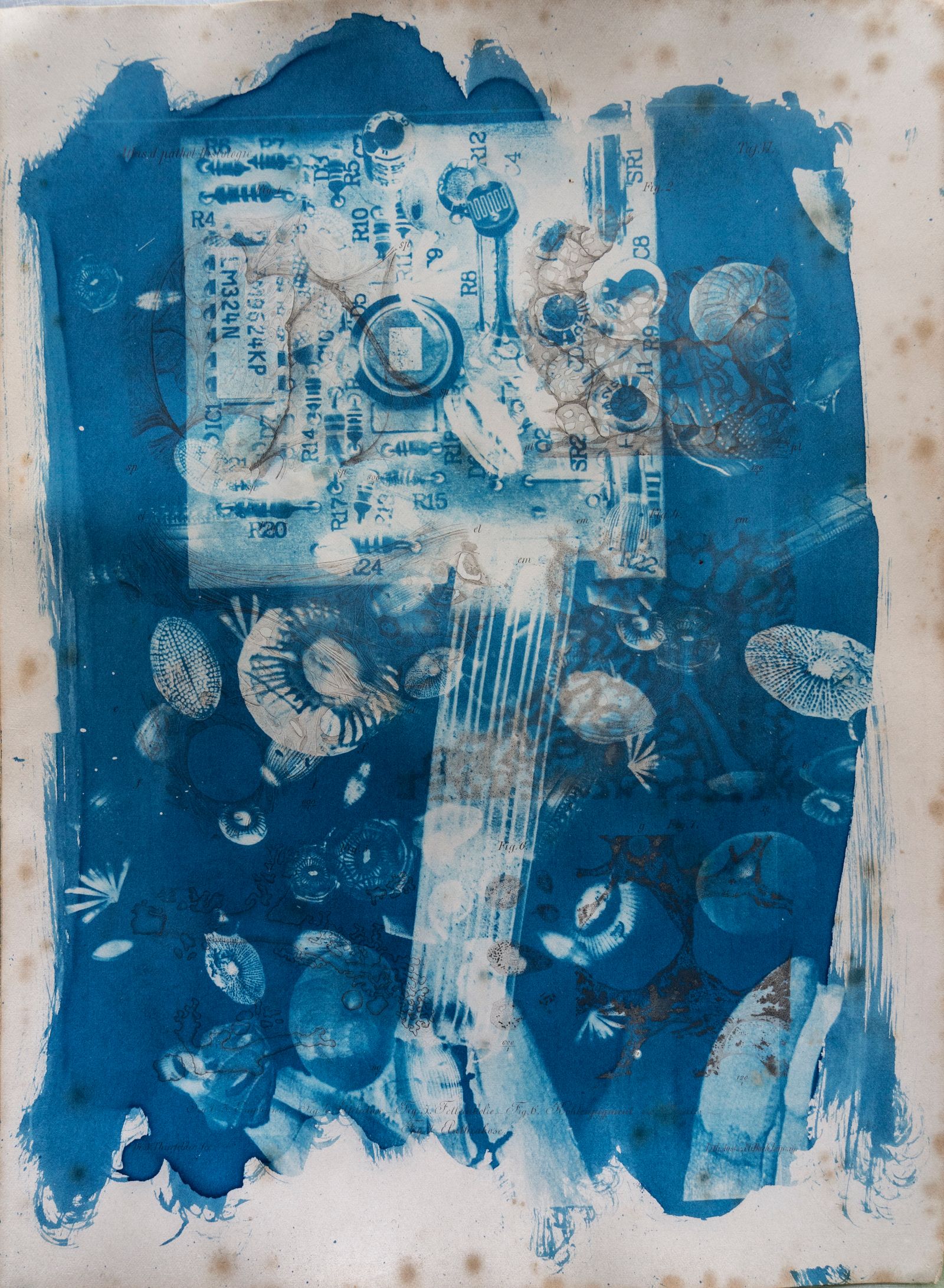 © Florence Iff - Amalgamated Fragmentation/ Technosphere 8 cyanotype on vintage lithography
