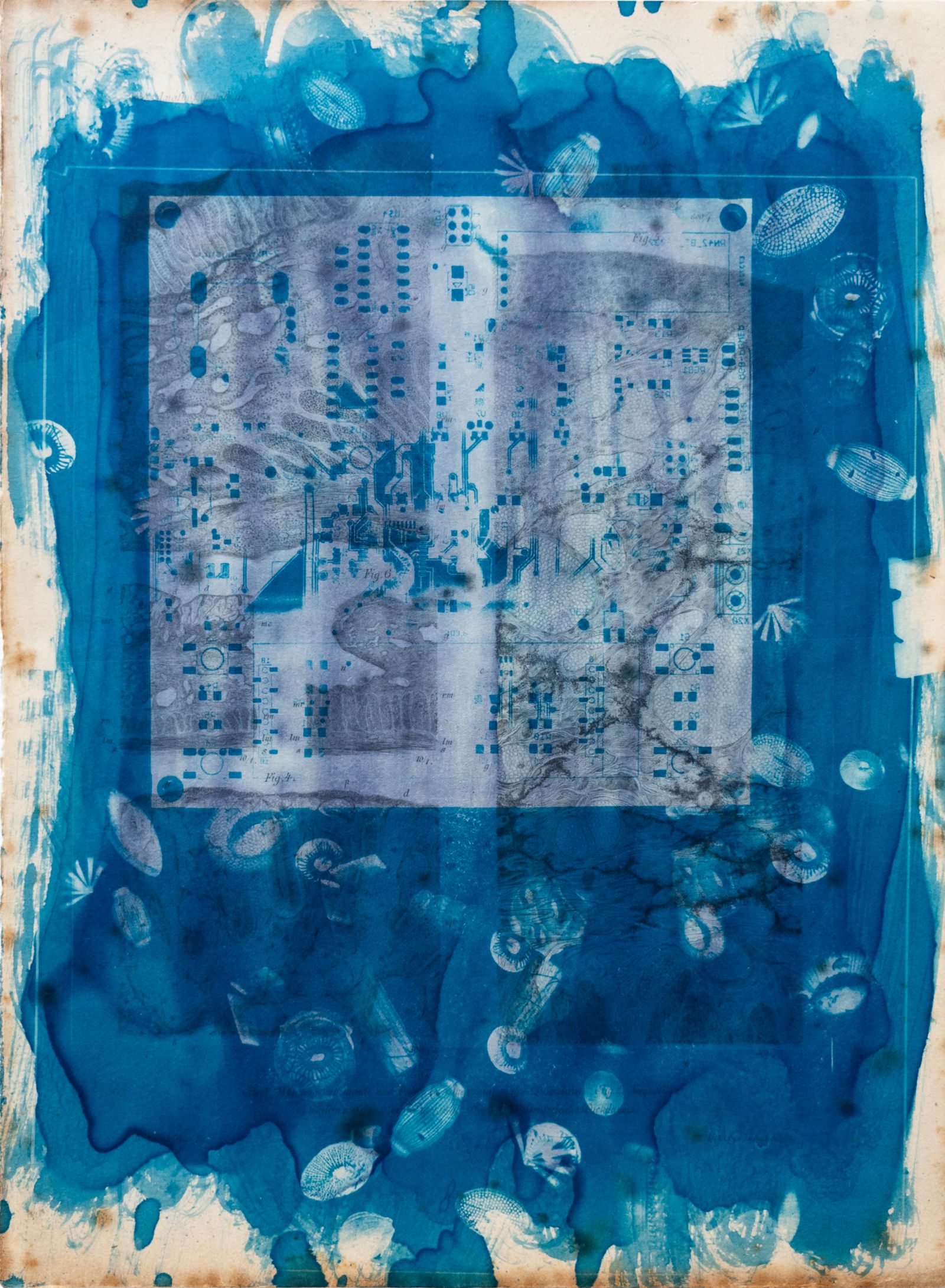 © Florence Iff - Amalgamated Fragmentation/ Technosphere 2 cyanotype on vintage lithography