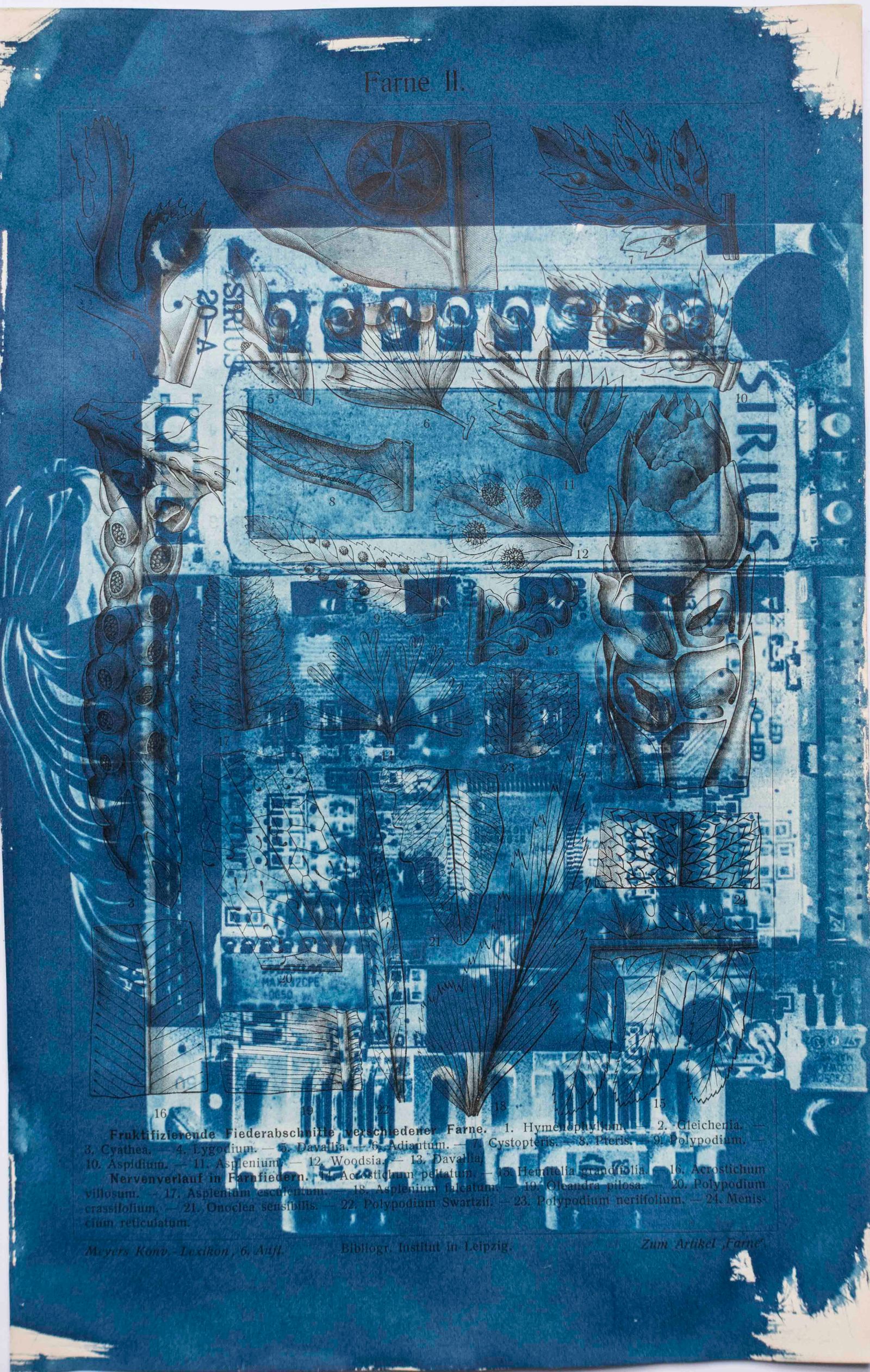 © Florence Iff - Amalgamated Fragmentation/ Technosphere- Board 5 cyanotype on vintage lithography
