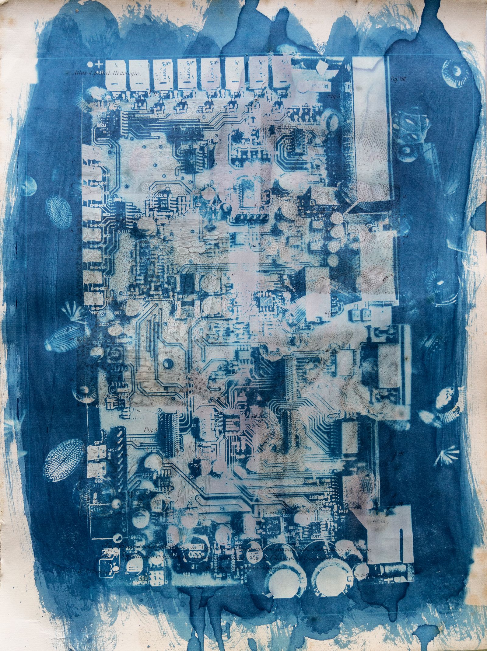 © Florence Iff - Amalgamated Fragmentation/ Technosphere 7 cyanotype on vintage lithography