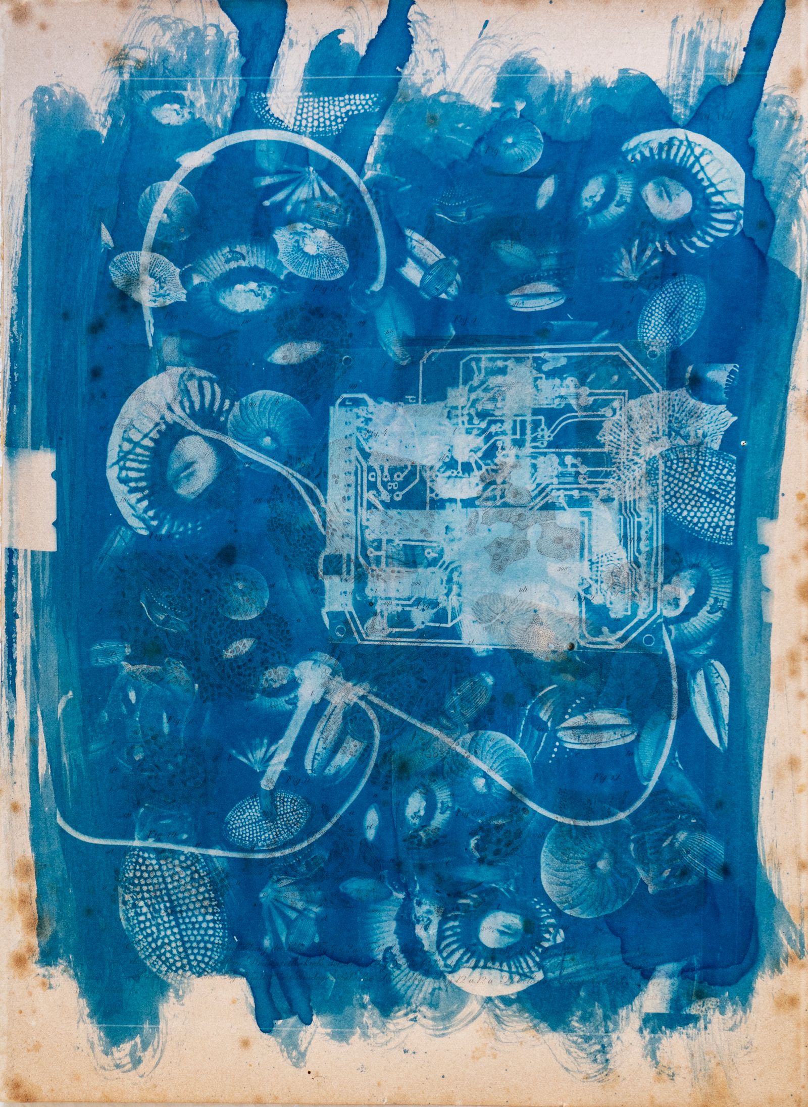 © Florence Iff - Amalgamated Fragmentation/ Technosphere 1 cyanotype on vintage lithography