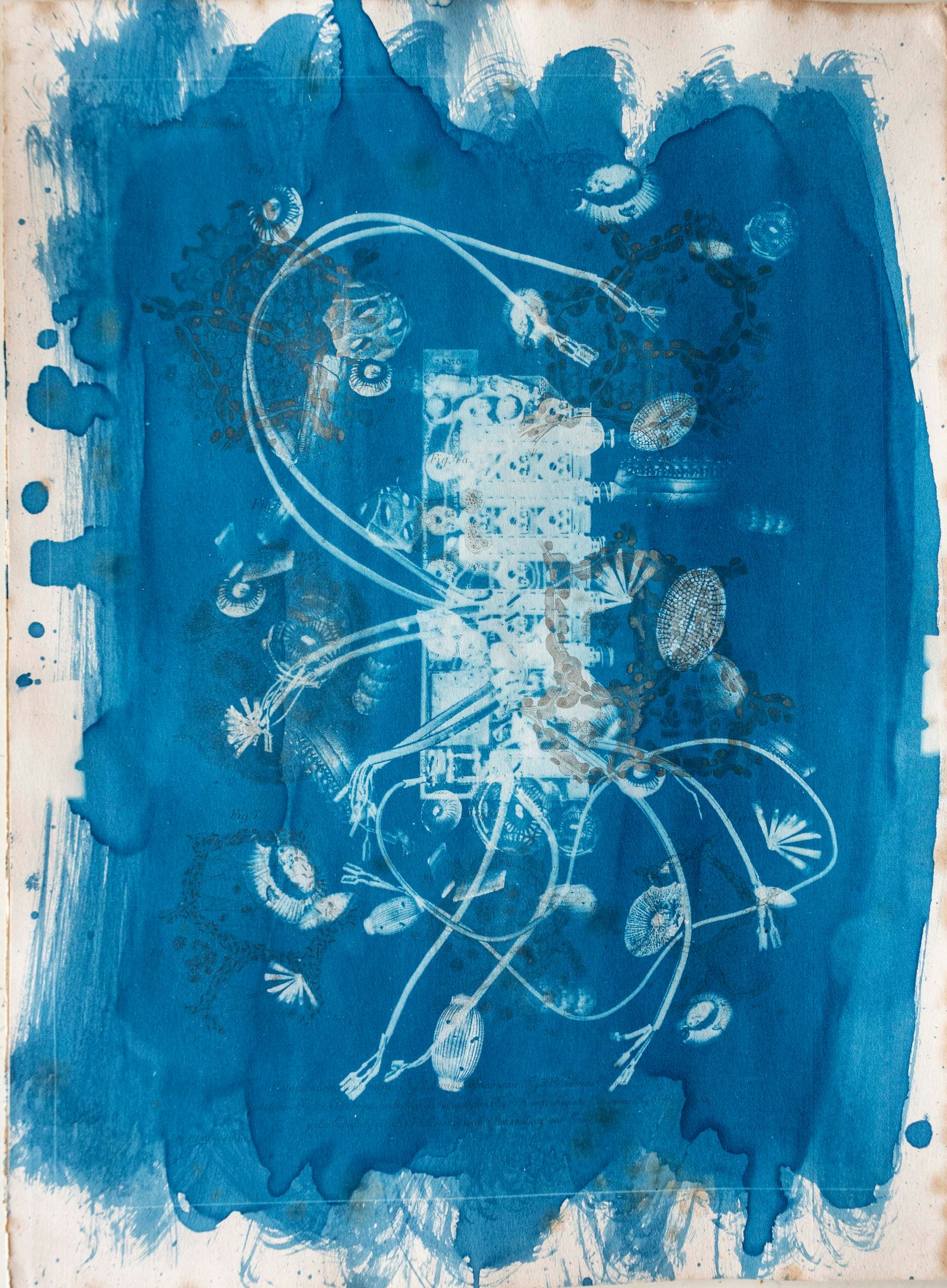 © Florence Iff - Amalgamated Fragmentation/ Technosphere 10 cyanotype on vintage lithography