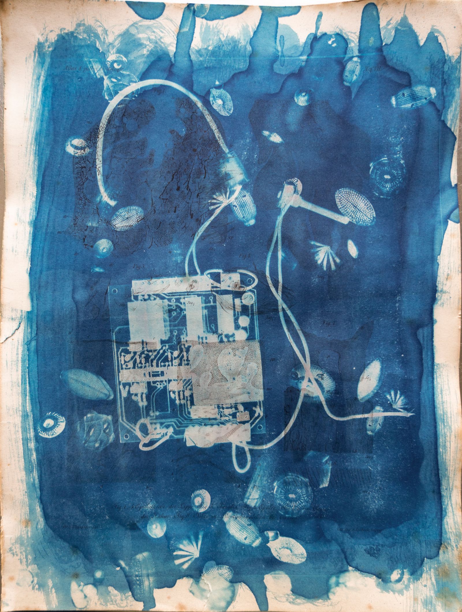 © Florence Iff - Amalgamated Fragmentation/ Technosphere 9 cyanotype on vintage lithography