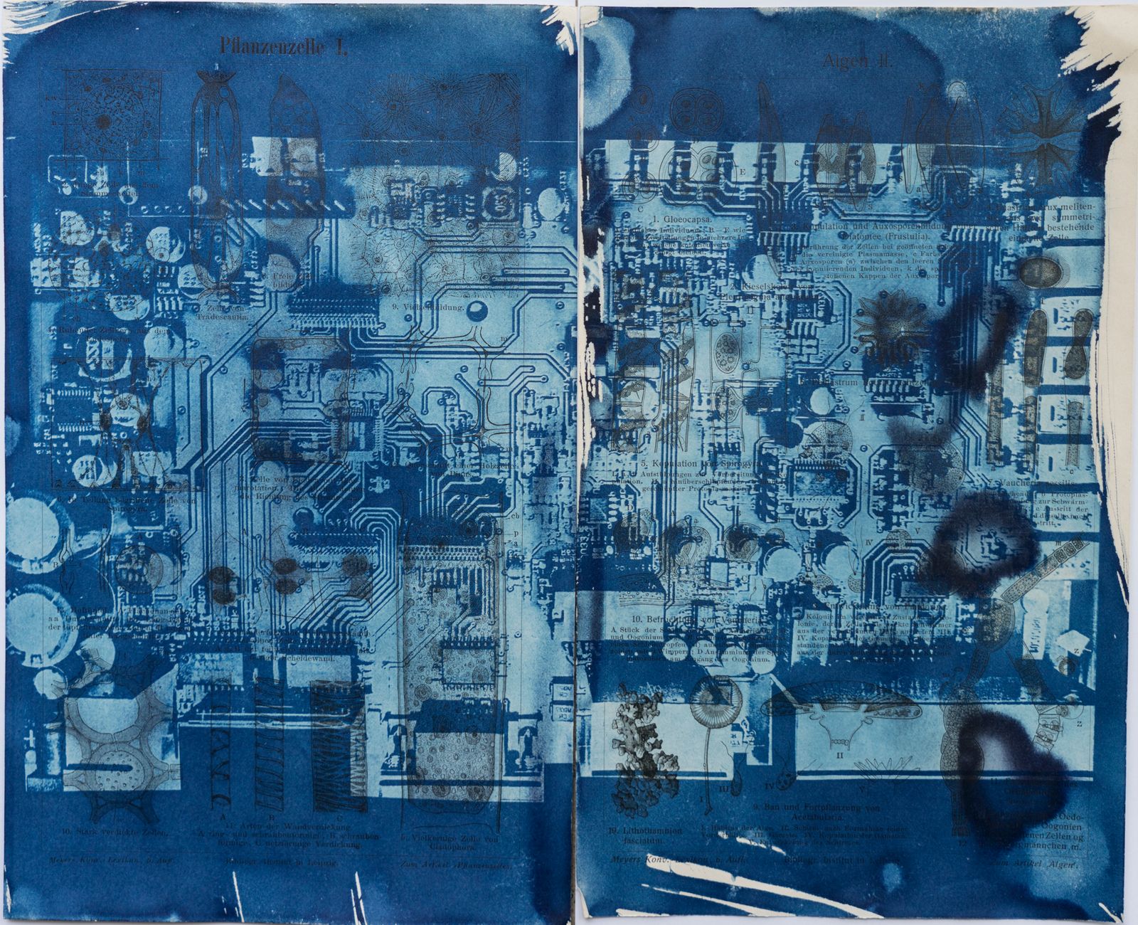 © Florence Iff - Amalgamated Fragmentation/ Technosphere- Board 7 cyanotype on vintage lithography