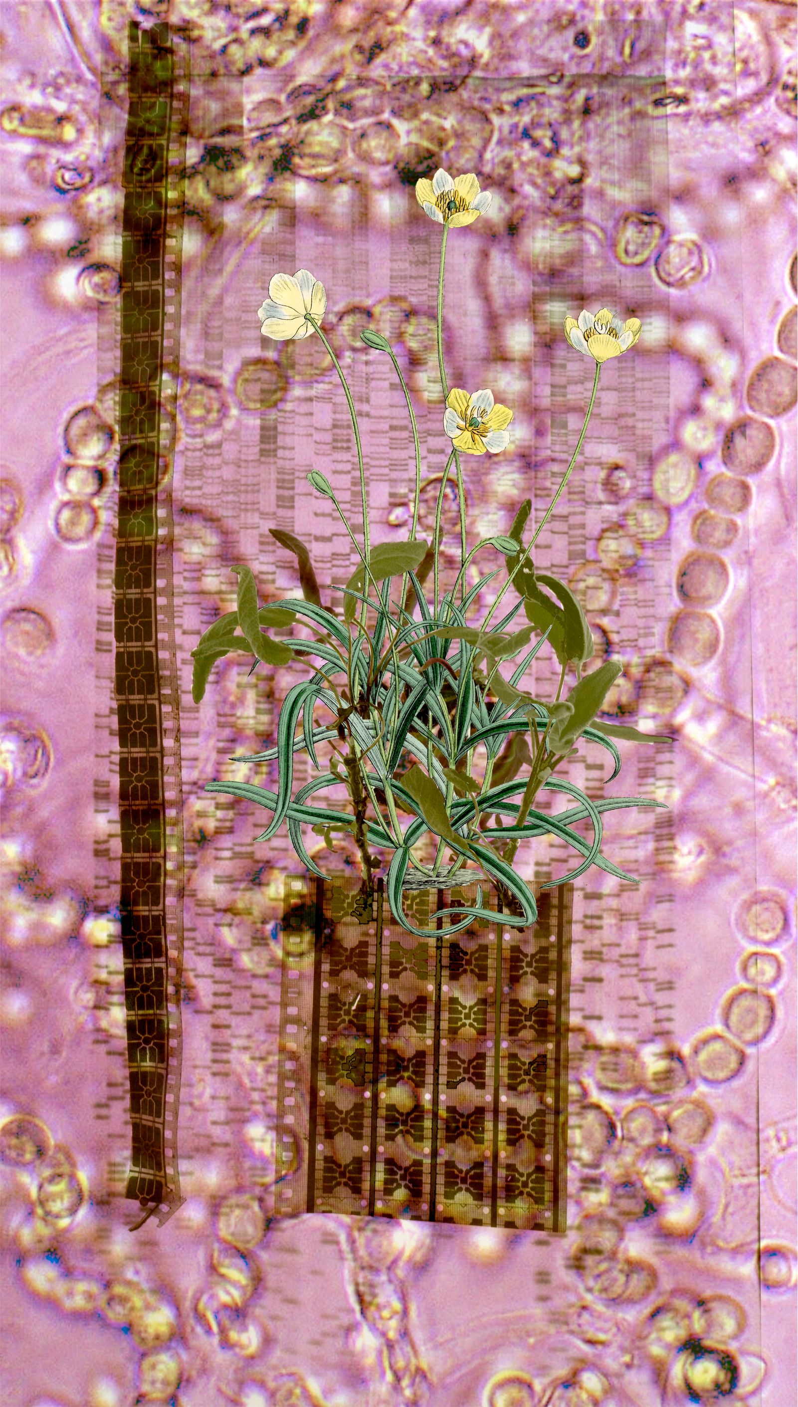 © Florence Iff - Amalagamated Fragmentation/Plastisphere-Plant 4