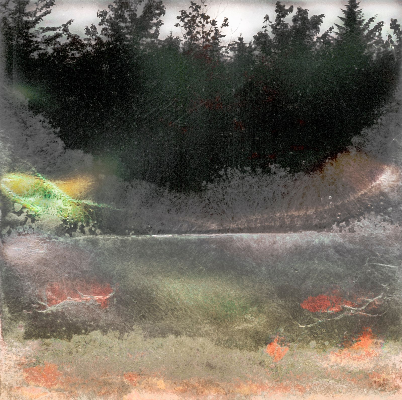 © Florence Iff - Amalgamated Fragmentation–Microbescape 6