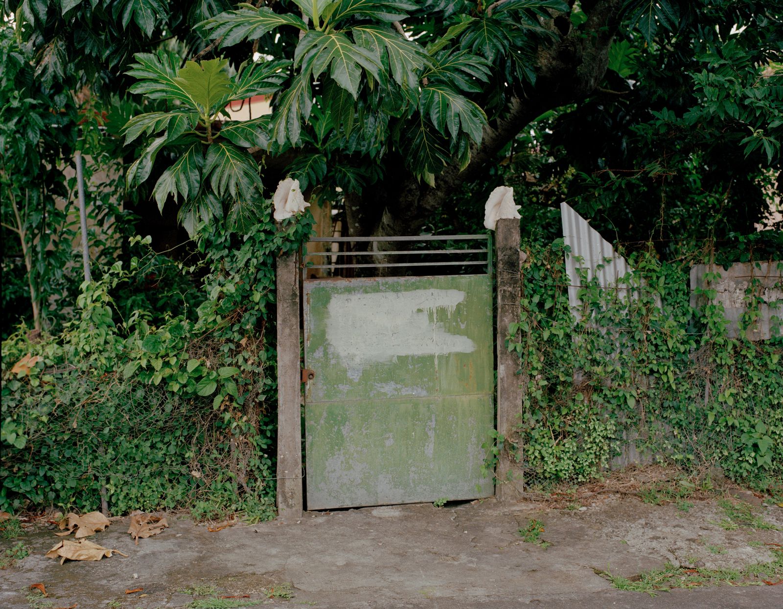 © Cédrine Scheidig - Image from the Les Mornes, le feu (The Dunes, the Fire) photography project