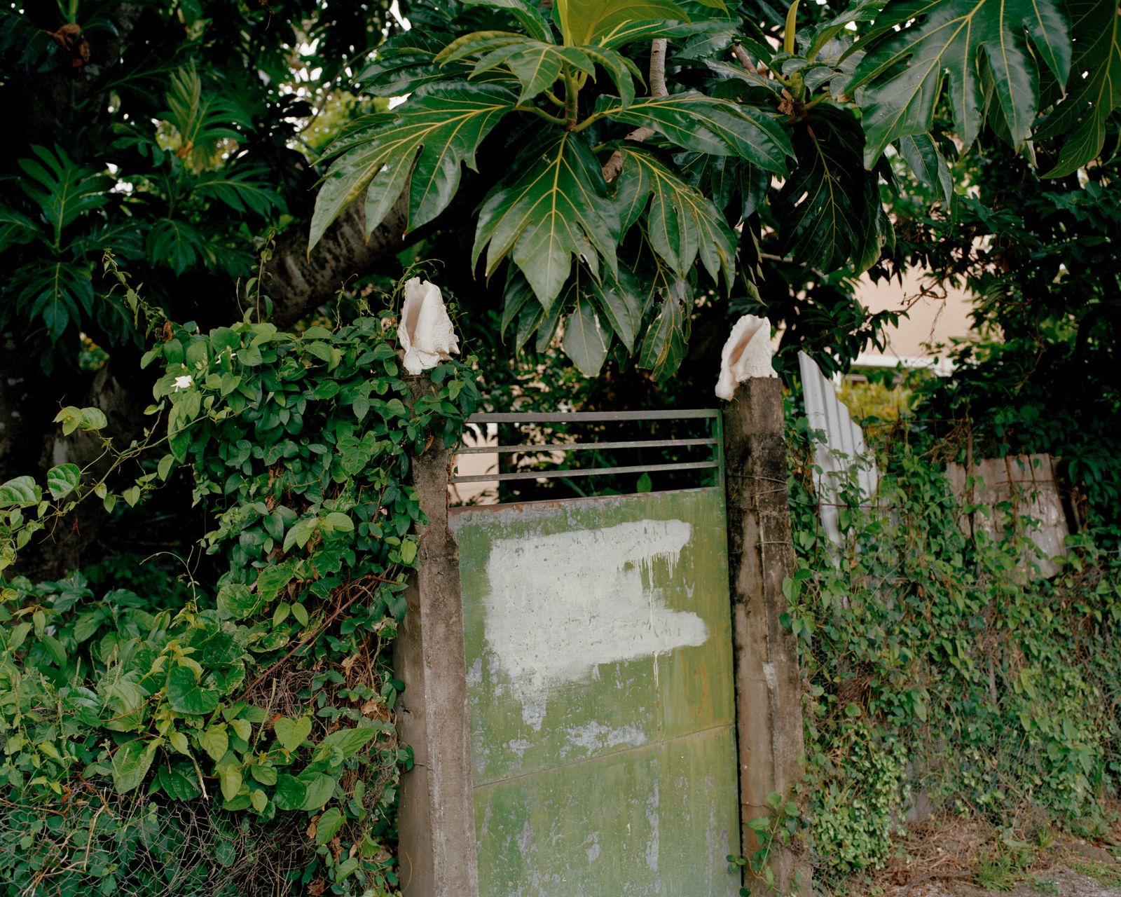 © Cédrine Scheidig - Image from the Les Mornes, le feu (The Dunes, the Fire) photography project