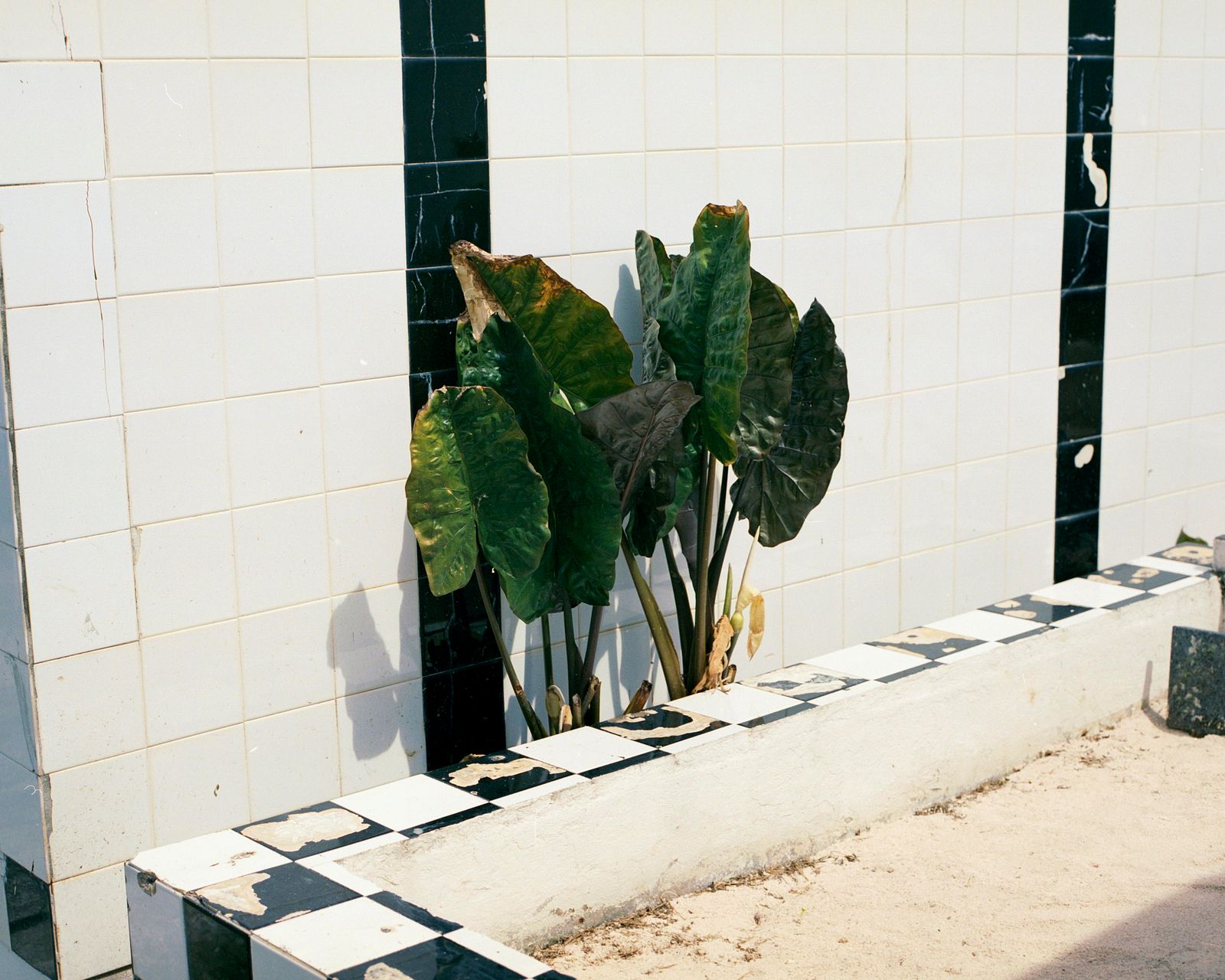 © Cédrine Scheidig - Image from the Les Mornes, le feu (The Dunes, the Fire) photography project