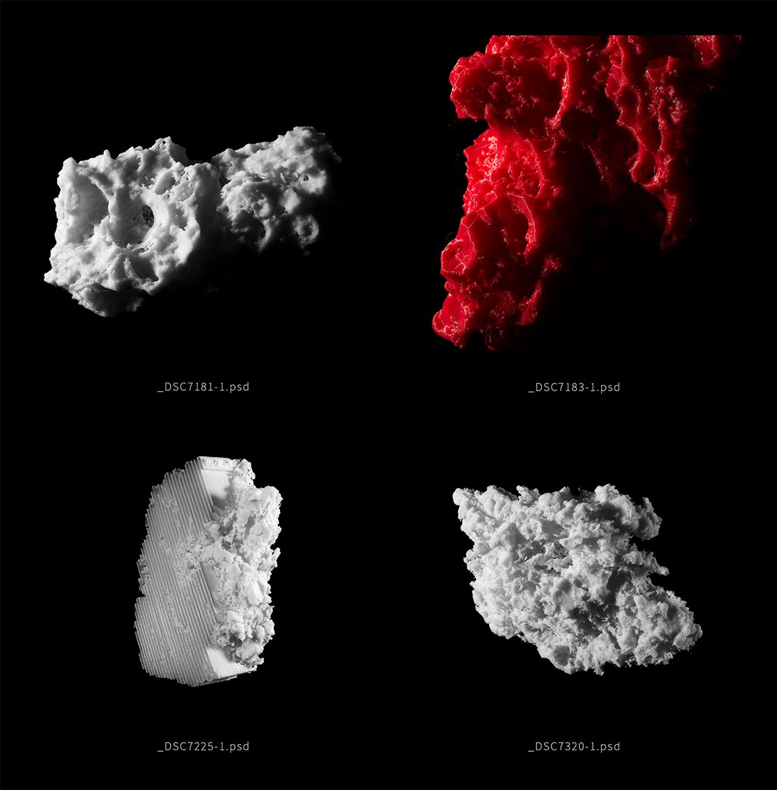 © Eric Zeigler - Micro CT Scans of False Martian soil purchased online from NASA. Used to test if growing plants is feasible on Martian soil.